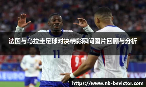 伟德体育bevictor